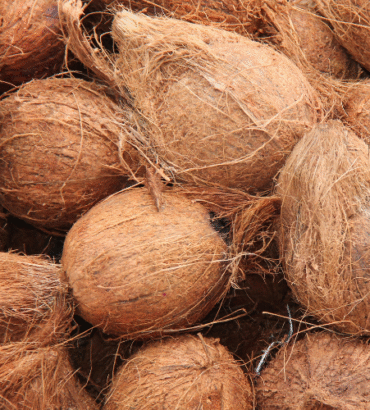 Semi-Husked Coconuts